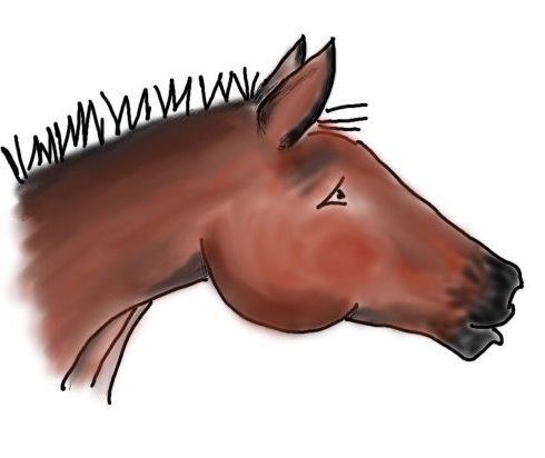 Flip's Barn