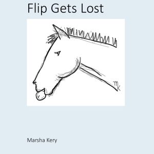 Flip Gets Lost